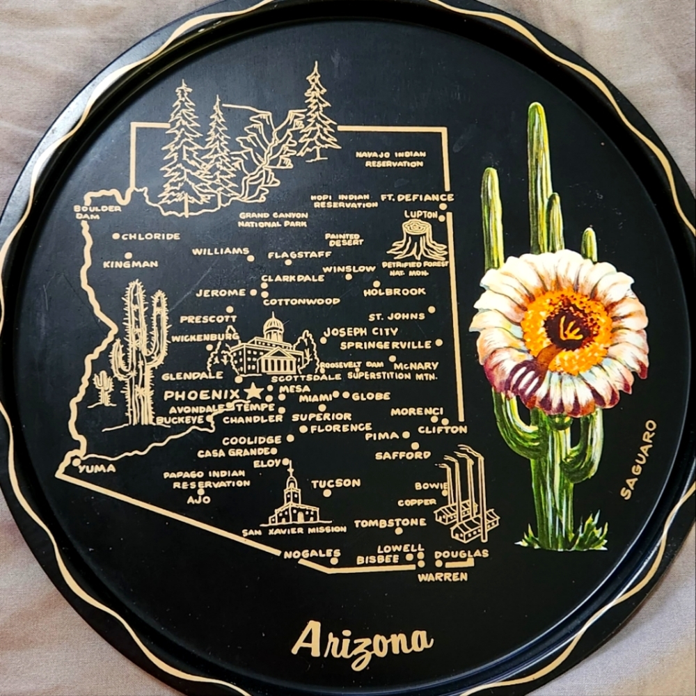 Vintage Tin Arizona Plate/tray